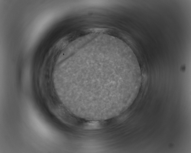 X0000115690381200912241507
