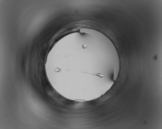 X0000115690382200912241507