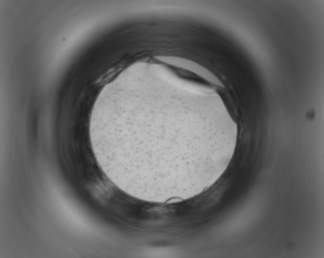 X0000115690383200912241507
