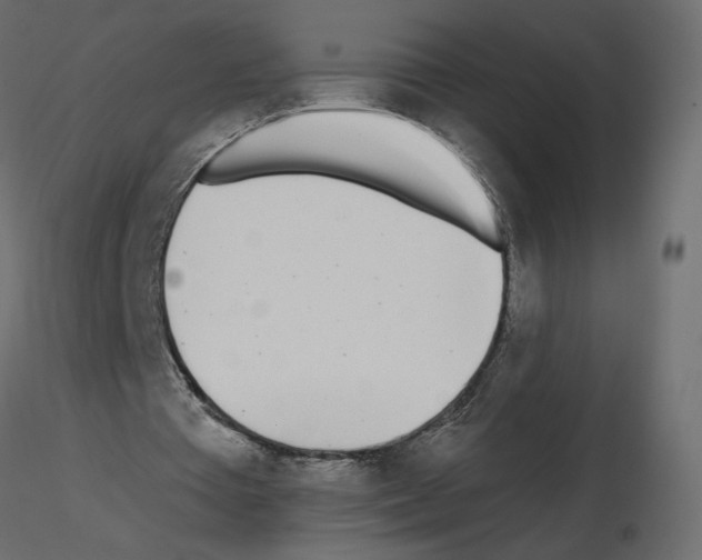 X0000115690385200912241506