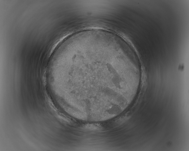 X0000115690386200912241506