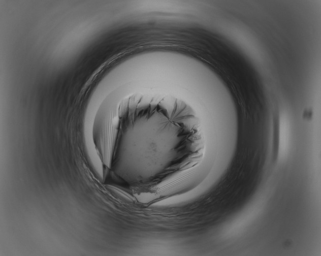 X0000115690387200912241506