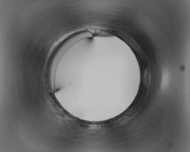 X0000115690388200912241506