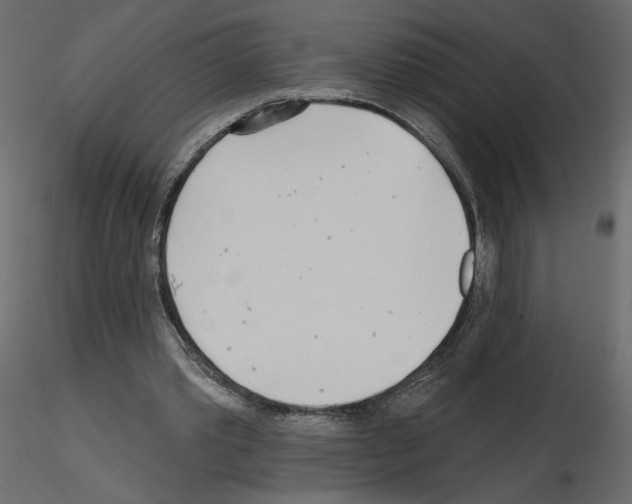 X0000115690389200912241506