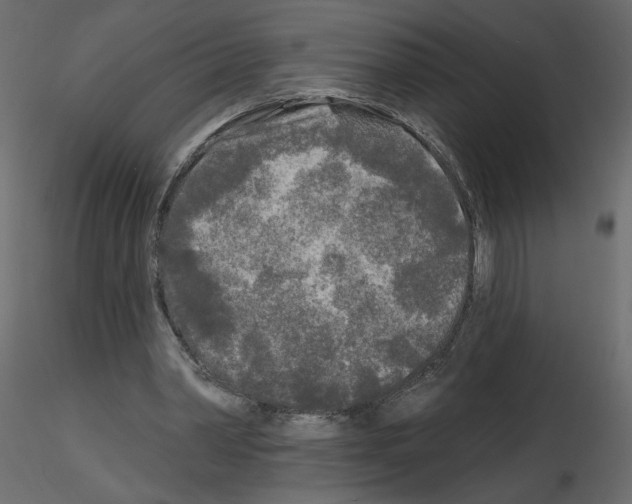 X0000115690390200912241506