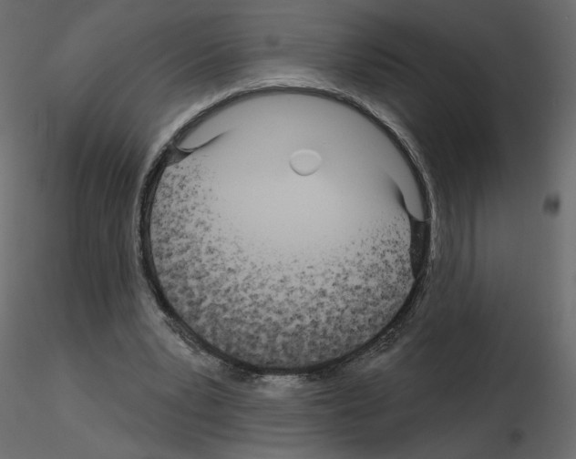 X0000115690391200912241506