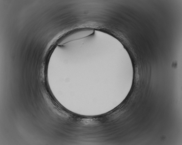 X0000115690392200912241506