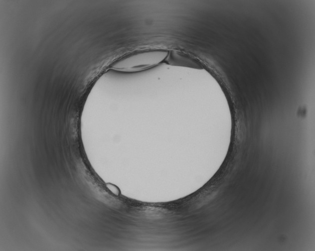 X0000115690393200912241506