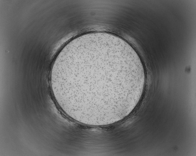 X0000115690394200912241506