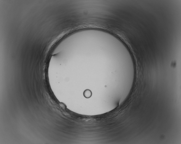 X0000115690395200912241506