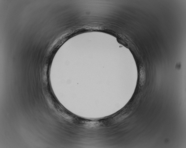 X0000115690396200912241506