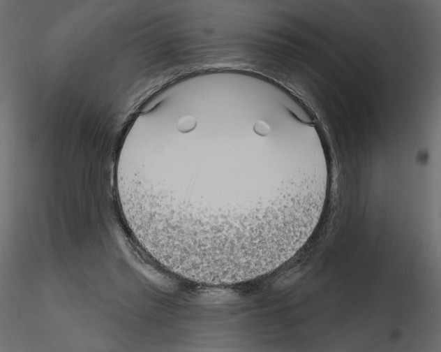 X0000115690397200912241506