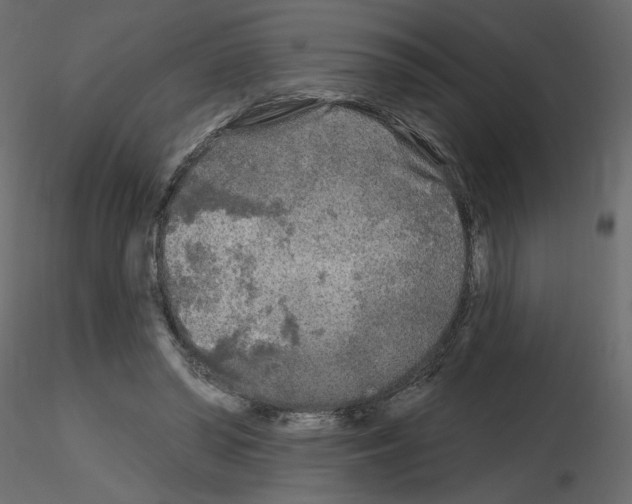 X0000115690398200912241506