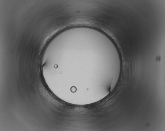 X0000115690399200912241506