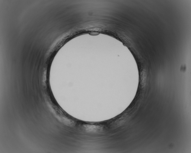 X0000115690400200912241506