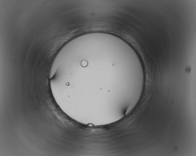 X0000115690401200912241506