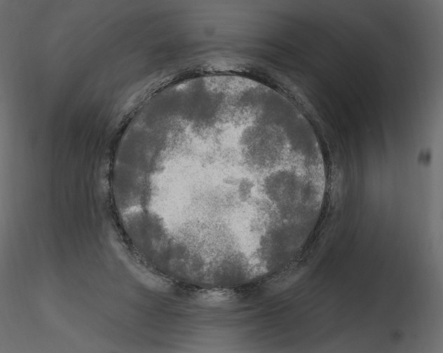 X0000115690402200912241506