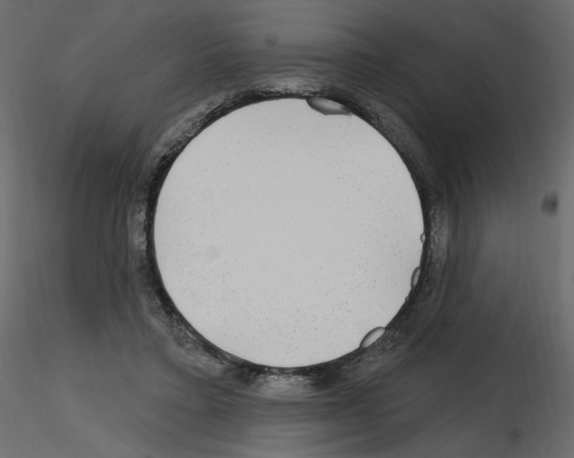 X0000115690403200912241506