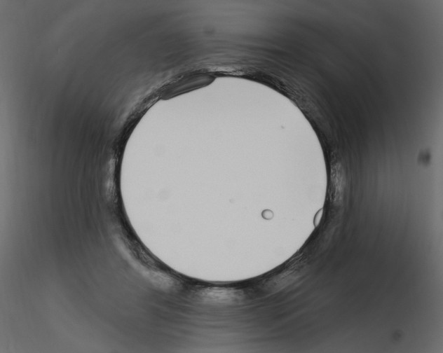 X0000115690404200912241506