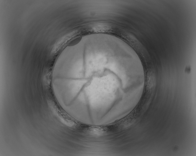 X0000115690405200912241506