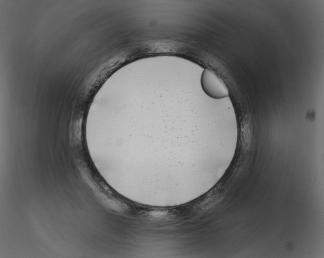 X0000115690406200912241506