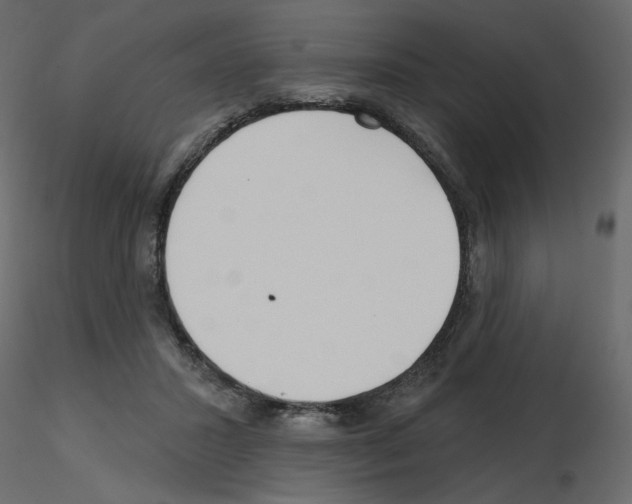 X0000115690407200912241506