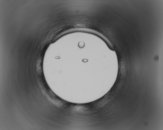 X0000115690408200912241506