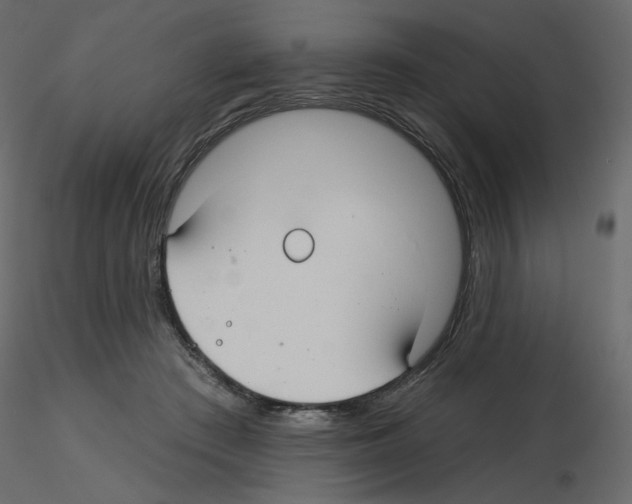 X0000115690409200912241506