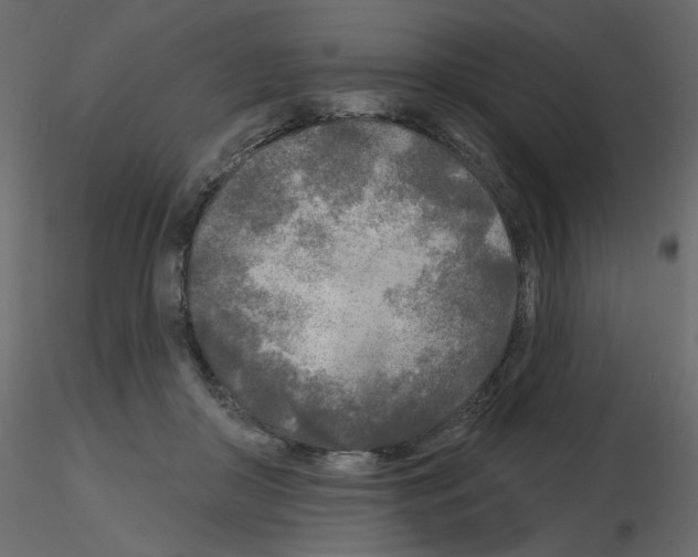 X0000115690410200912241506