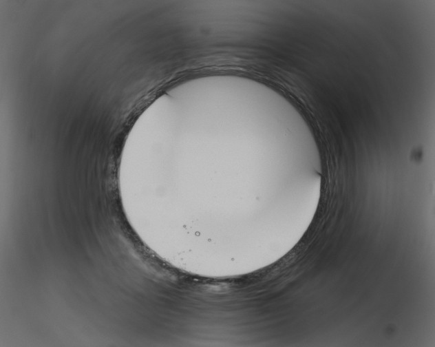 X0000115690411200912241506