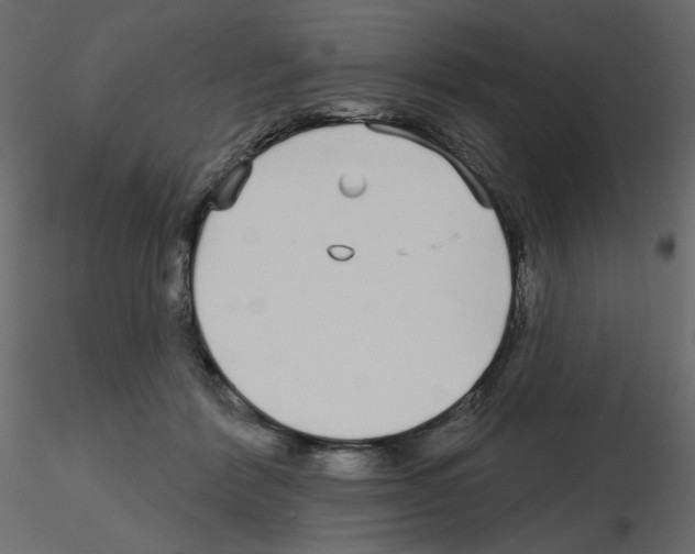 X0000115690412200912241506