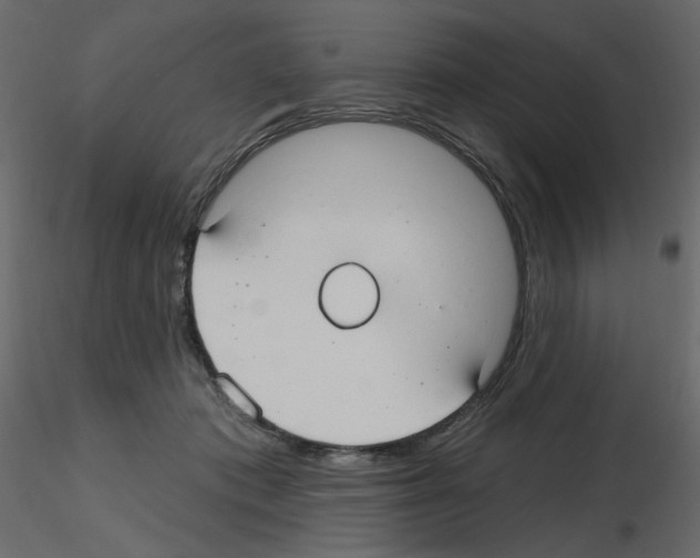 X0000115690413200912241506