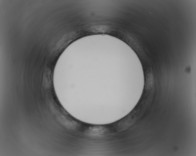 X0000115690414200912241506