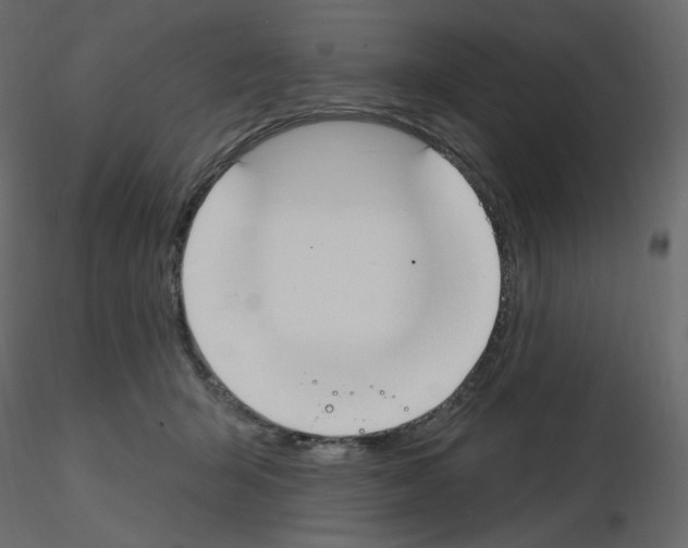 X0000115690415200912241506