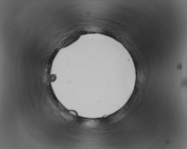 X0000115690416200912241506