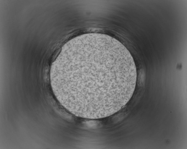 X0000115690417200912241506