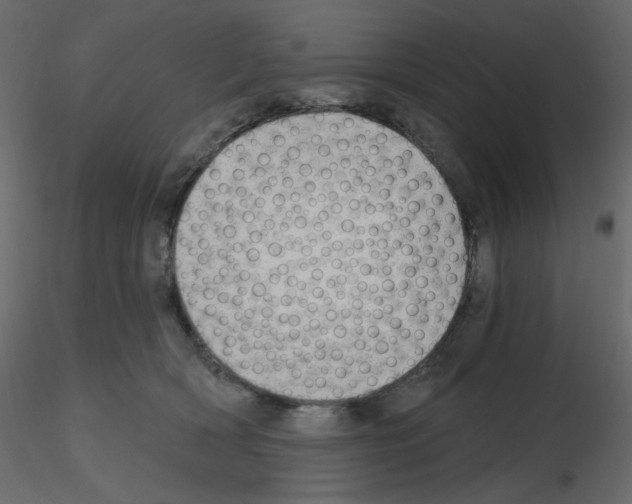 X0000115690418200912241506