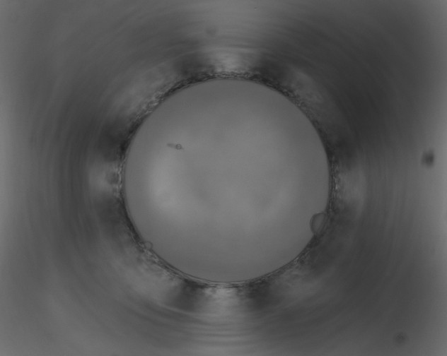 X0000115690419200912241506