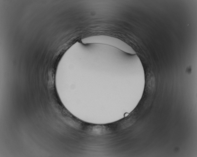 X0000115690420200912241506