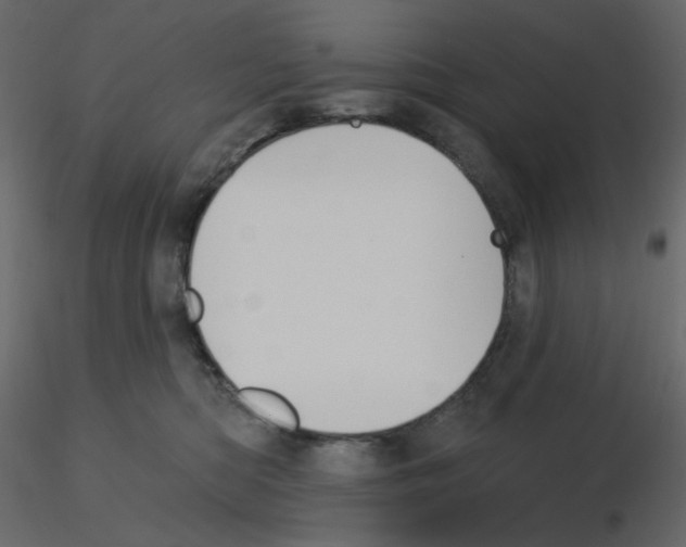 X0000115690422200912241506