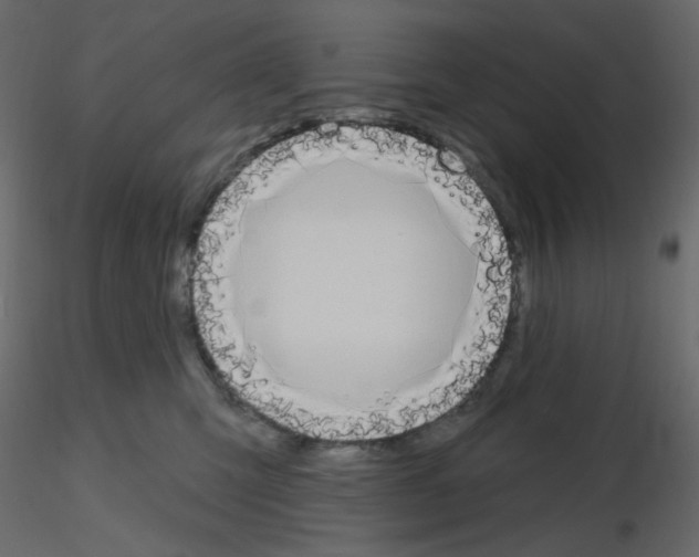 X0000115690423200912241506