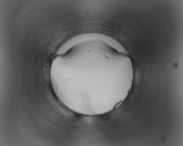 X0000115690424200912241506