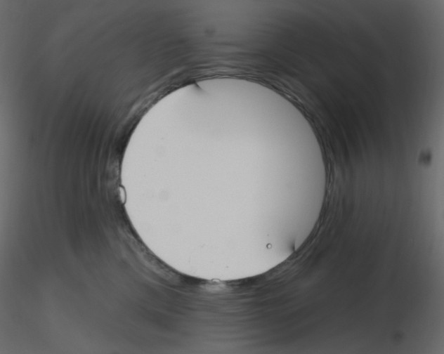 X0000115690425200912241506