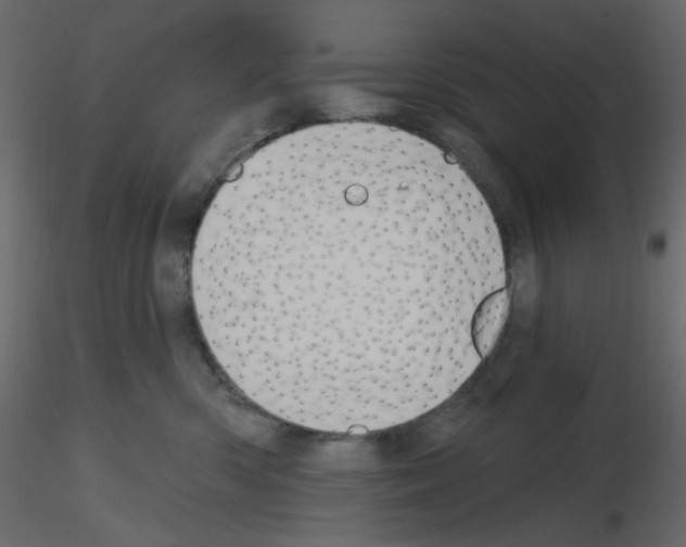 X0000115690426200912241506