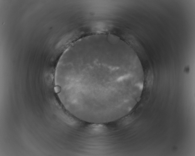 X0000115690427200912241506