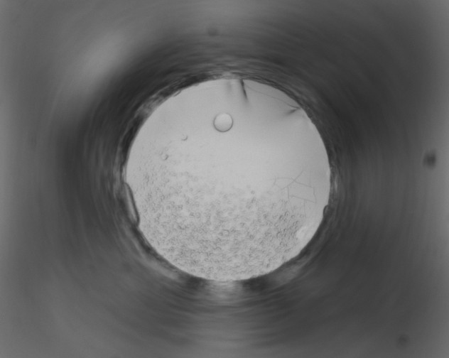 X0000115690429200912241506