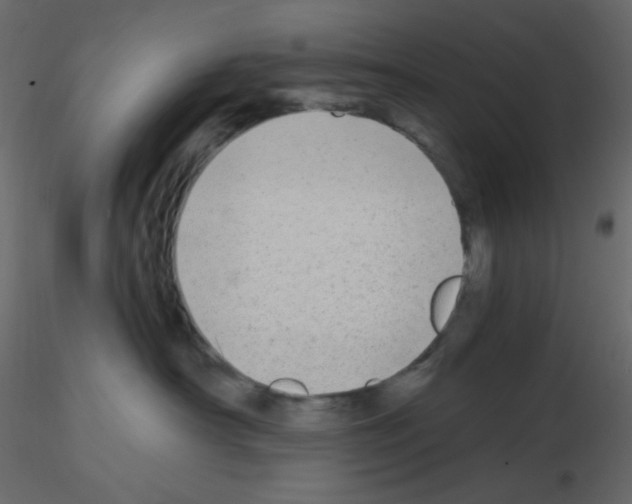 X0000115690430200912241505