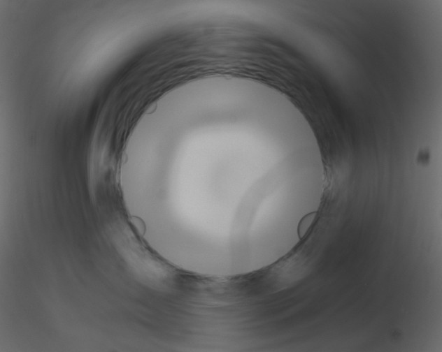 X0000115690431200912241505
