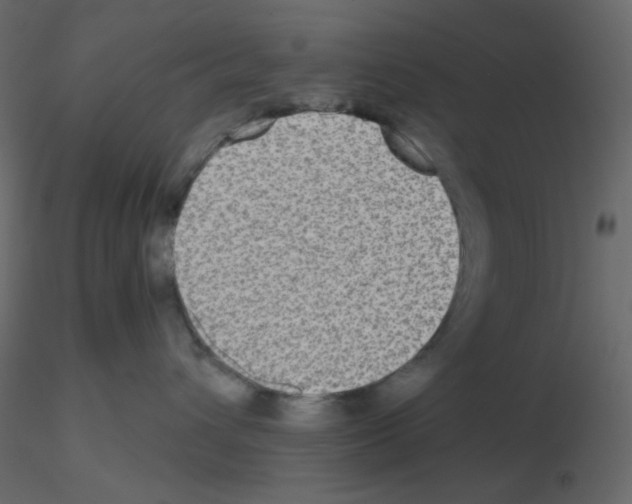 X0000115690432200912241505