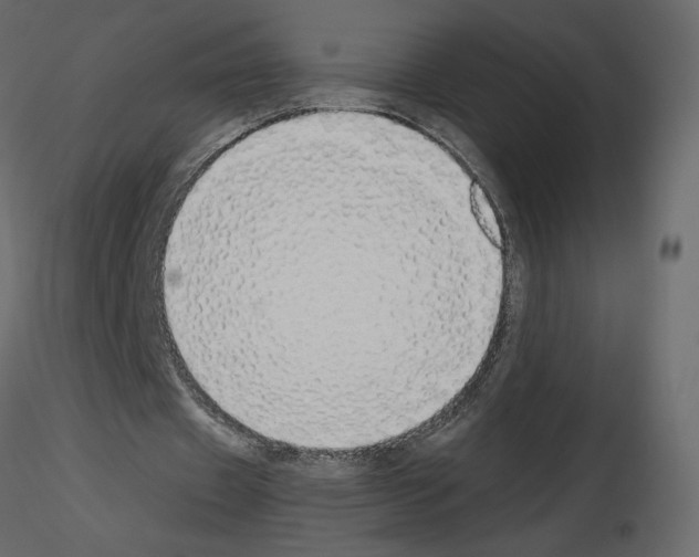 X0000115690433200912241505